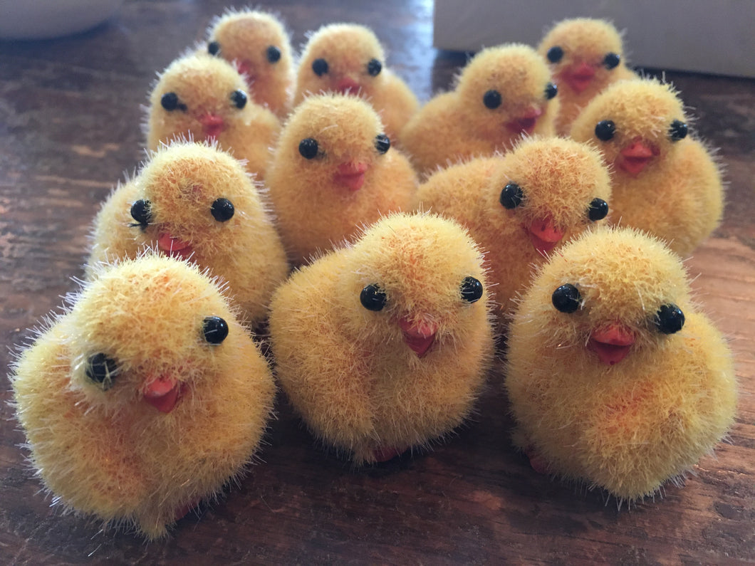 Fuzzy Mini Chicks